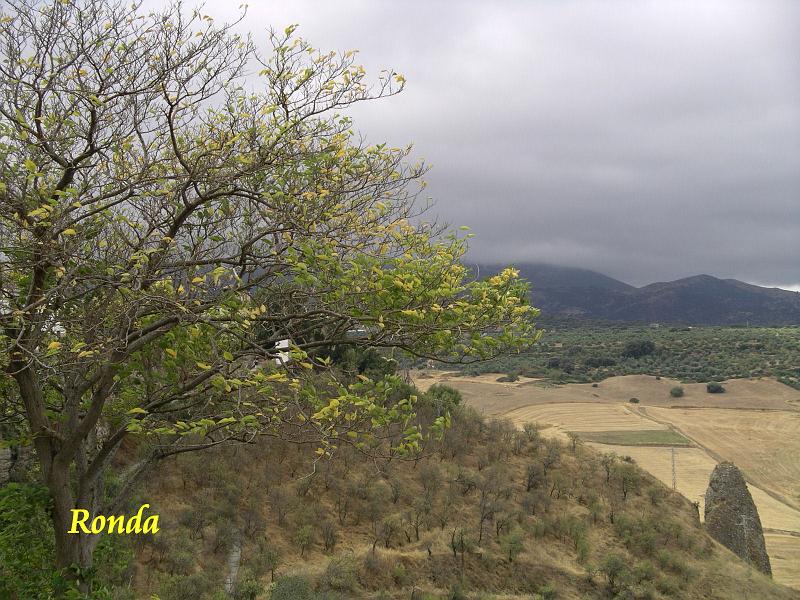 Andalusie 2008 099.jpg